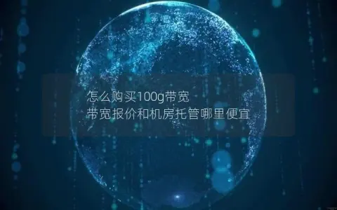怎么购买100g带宽 带宽报价和机房托管哪里便宜