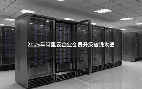 2025年阿里云企业会员升级省钱攻略