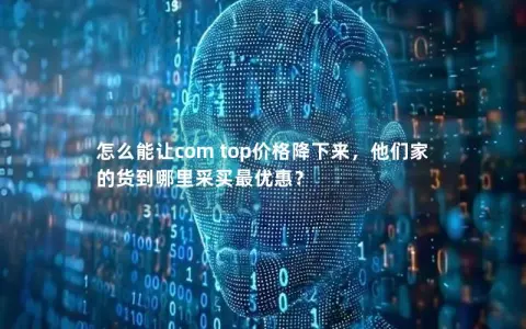 怎么能让com top价格降下来，他们家的货到哪里采买最优惠？