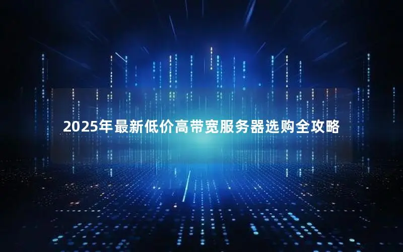 2025年最新低价高带宽服务器选购全攻略