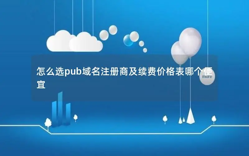 怎么选pub域名注册商及续费价格表哪个便宜 怎么选pub域名注册商及续费价格表哪个便宜