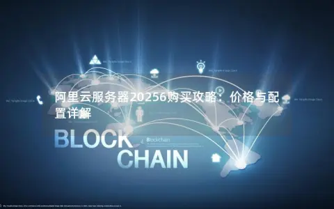 阿里云服务器20256购买攻略：价格与配置详解