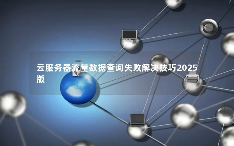 云服务器流量数据查询失败解决技巧2025版