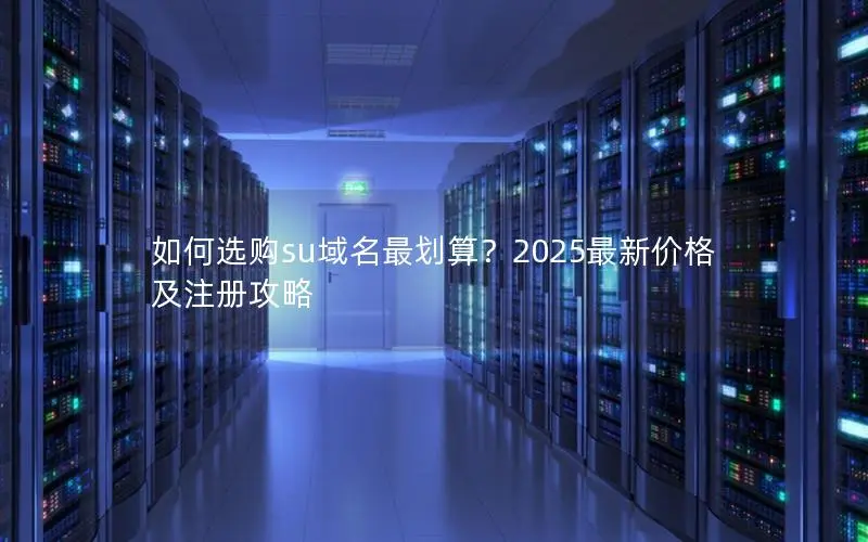 如何选购su域名最划算？2025最新价格及注册攻略