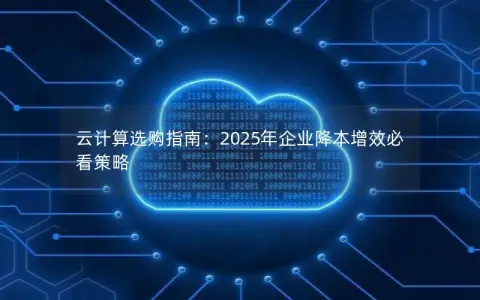 云计算选购指南:2025年企业降本增效必看策略 云计算选购指南:2025年企业降本增效必看策略
