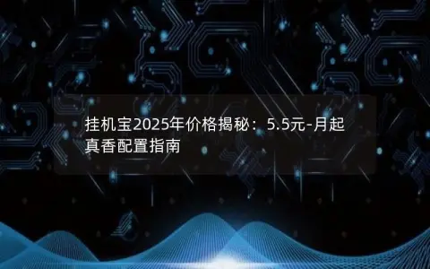 挂机宝2025年价格揭秘：5.5元-月起真香配置指南