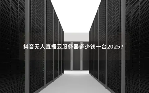 抖音无人直播云服务器多少钱一台2025？