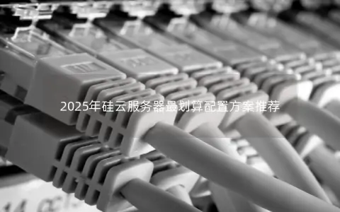 2025年硅云服务器最划算配置方案推荐 2025年硅云服务器最划算配置方案推荐
