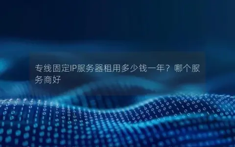 专线固定IP服务器租用多少钱一年？哪个服务商好