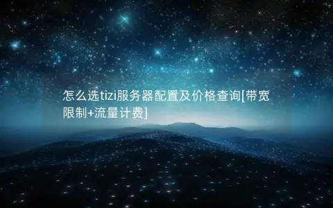 怎么选tizi服务器配置及价格查询[带宽限制+流量计费]