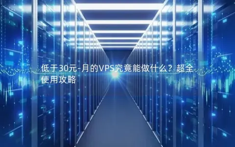 低于30元-月的VPS究竟能做什么？超全使用攻略