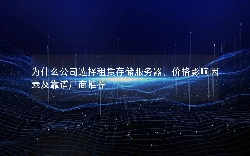 为什么公司选择租赁存储服务器，价格影响因素及靠谱厂商推荐
