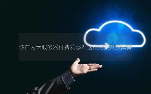 还在为云服务器付费发愁？这些免费资源真香