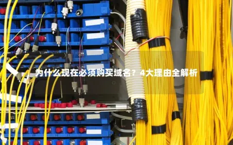 为什么现在必须购买域名？4大理由全解析