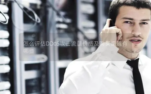 怎么评估DDoS攻击流量价格及购买渠道有哪些