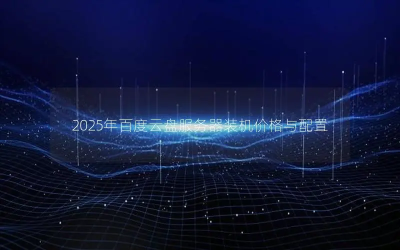 2025年百度云盘服务器装机价格与配置