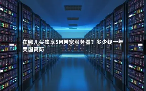 在哪儿买独享5M带宽服务器？多少钱一年 美国高防