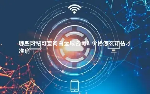 哪些网站可查询白金域名词？价格怎么评估才准确