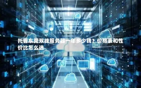 托管东莞双线服务器一年多少钱？价格表和性价比怎么选