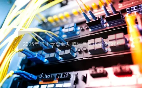 2025年阿里云盘会员取消自动续费全攻略