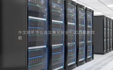 中文域名怎么选实惠又安全？2025最新攻略