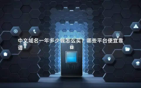 中文域名一年多少钱怎么买？哪些平台便宜靠谱