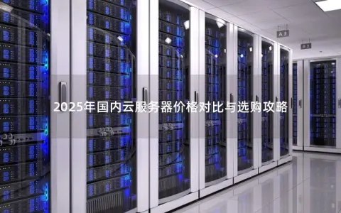 2025年国内云服务器价格对比与选购攻略 2025年国内云服务器价格对比与选购攻略