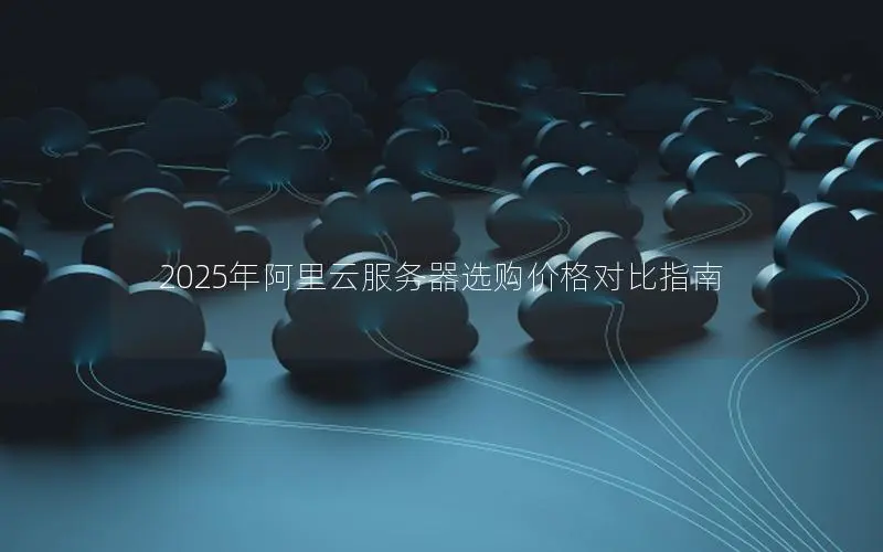 2025年阿里云服务器选购价格对比指南 2025年阿里云服务器选购价格对比指南