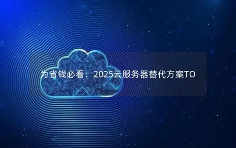 为省钱必看：2025云服务器替代方案TO