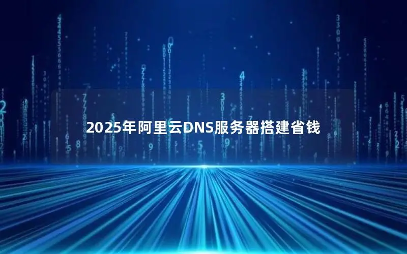 2025年阿里云DNS服务器搭建省钱 2025年阿里云DNS服务器搭建省钱