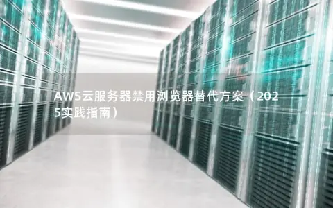 AWS云服务器禁用浏览器替代方案（2025实践指南）