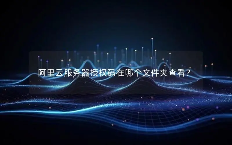 阿里云服务器授权码在哪个文件夹查看？