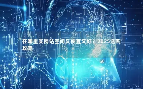 在哪里买网站空间又便宜又好？2025选购攻略