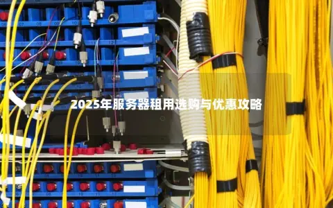 2025年服务器租用选购与优惠攻略
