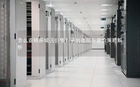 怎么查转移域名价格？平台选择与定价策略解析