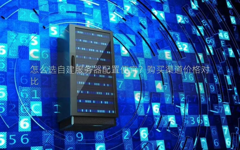 怎么选自建服务器配置便宜？购买渠道价格对比