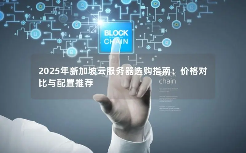 2025年新加坡云服务器选购指南：价格对比与配置推荐
