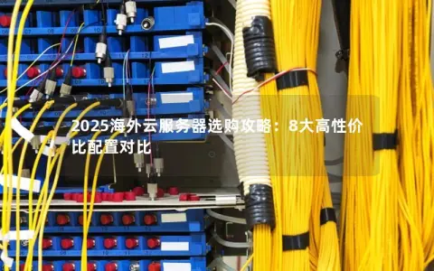 2025海外云服务器选购攻略：8大高性价比配置对比