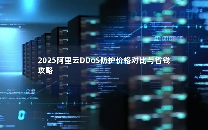 2025阿里云DDoS防护价格对比与省钱攻略