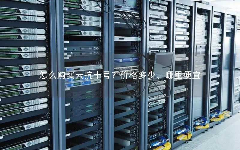 怎么购买云抗十号?价格多少、哪里便宜 怎么购买云抗十号?价格多少、哪里便宜