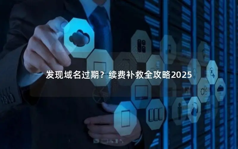 发现域名过期？续费补救全攻略2025