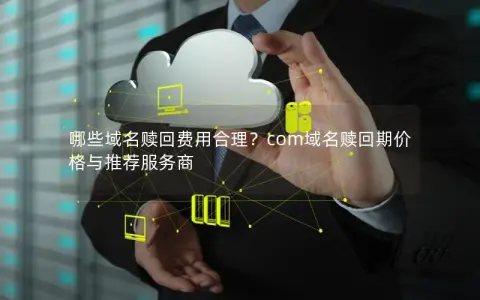 哪些域名赎回费用合理？com域名赎回期价格与推荐服务商