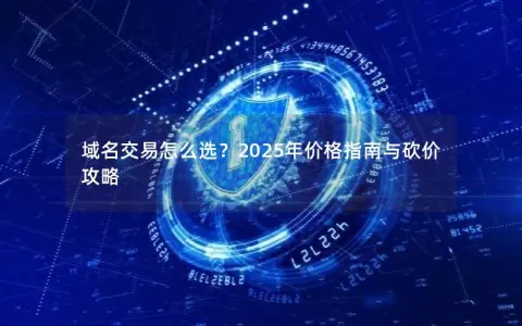 域名交易怎么选？2025年价格指南与砍价攻略