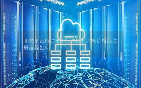 哪些平台能注册info域名？大概价格和注册流程如何