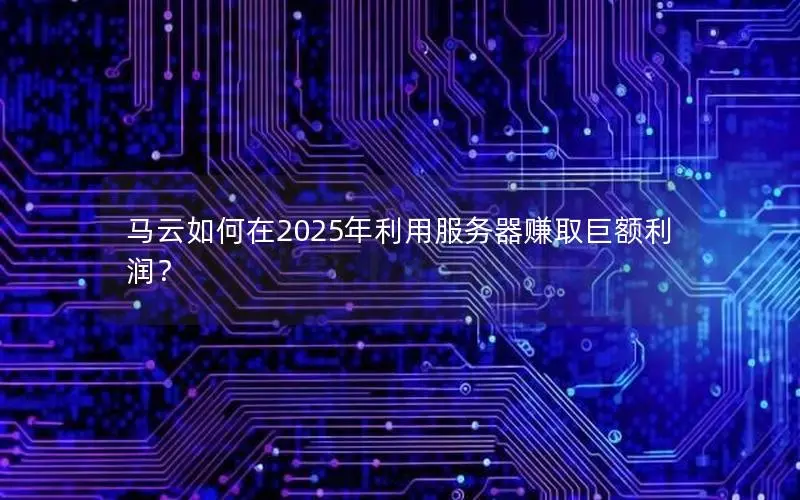 马云如何在2025年利用服务器赚取巨额利润？