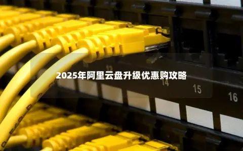2025年阿里云盘升级优惠购攻略