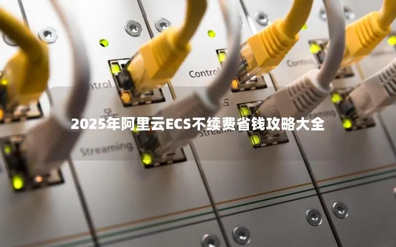 2025年阿里云ECS不续费省钱攻略大全