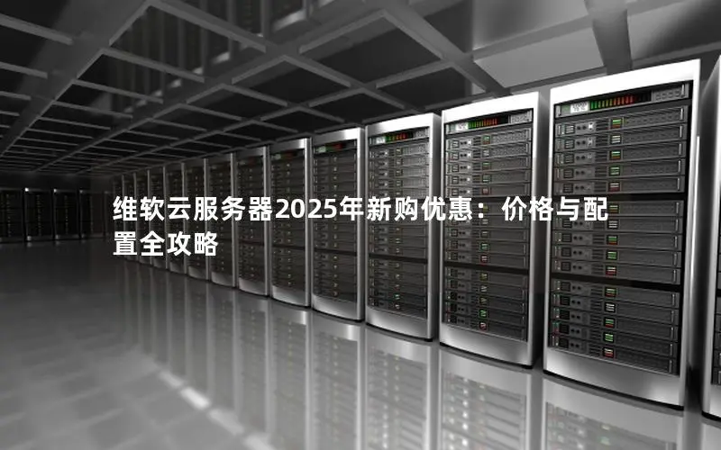维软云服务器2025年新购优惠：价格与配置全攻略