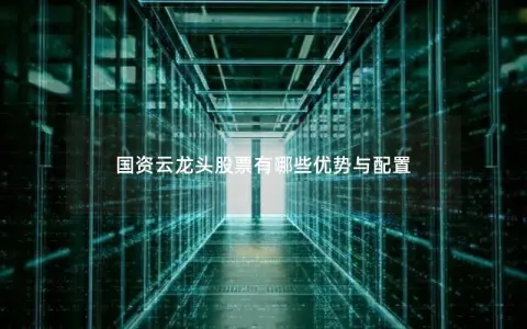 国资云龙头股票有哪些优势与配置