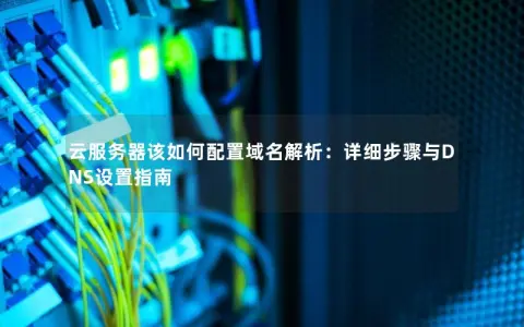 云服务器该如何配置域名解析：详细步骤与DNS设置指南